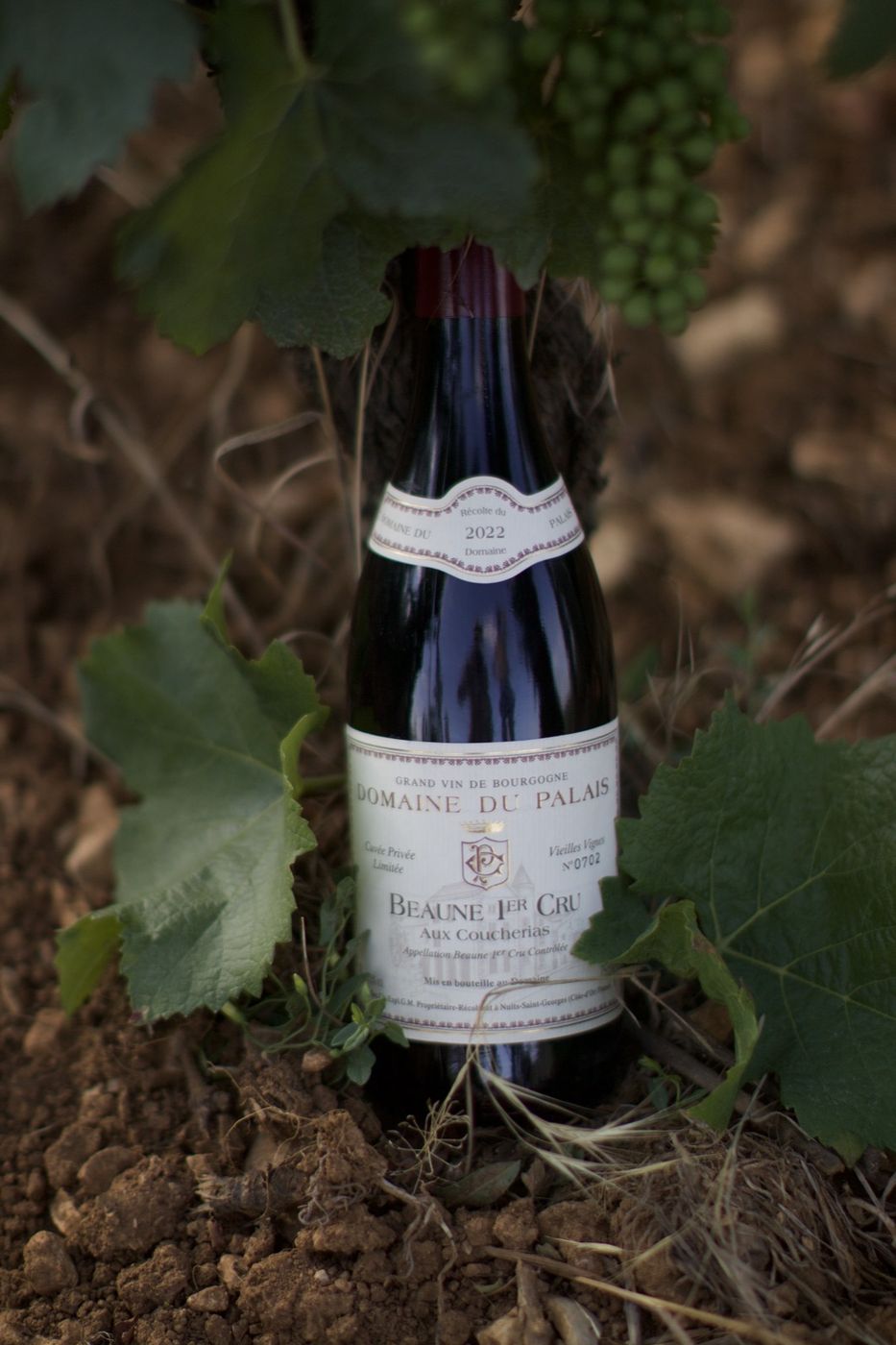 Beaune 1er Cru Aux Coucherias