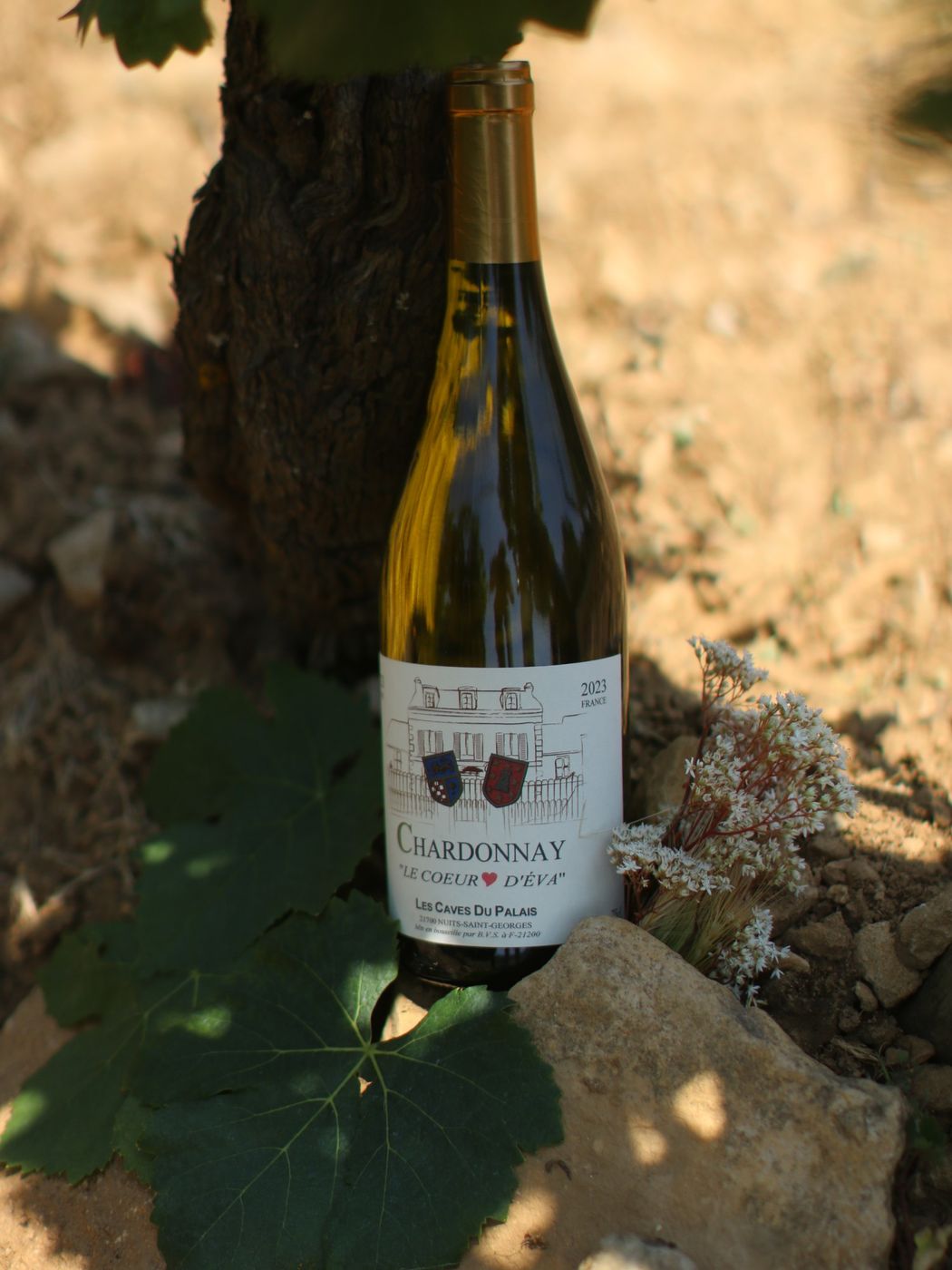 Chardonnay « Le Cœur d'Eva » – Vin de France