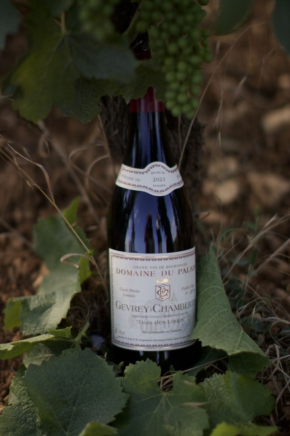 Gevrey-Chambertin « Bois des Loups »