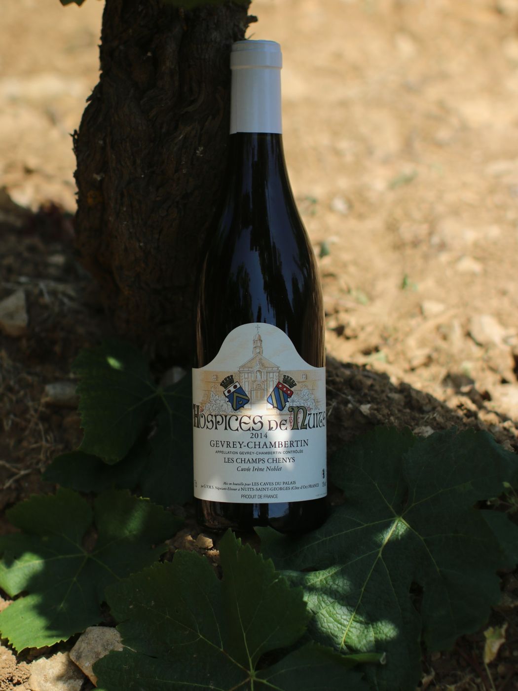 Hospices de Nuits – Gevrey-Chambertin Les Champs Chenys
