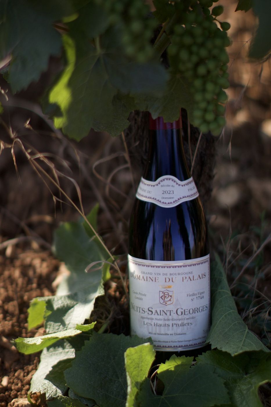 Nuits-Saint-Georges « Les Hauts Pruliers »