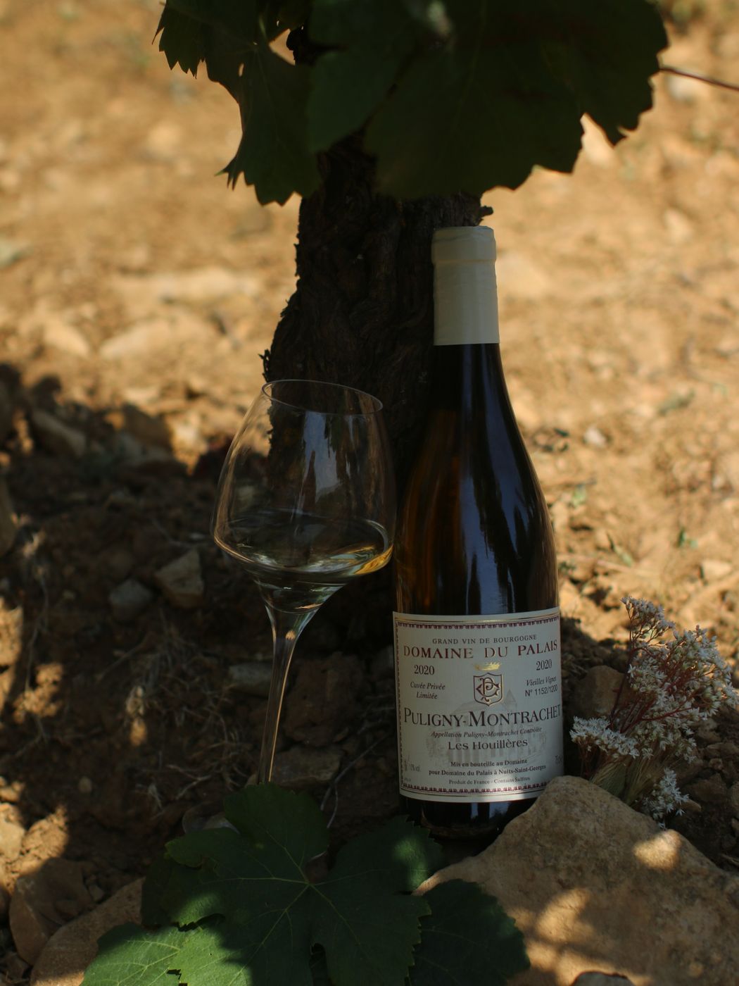 Puligny-Montrachet Les Houlières