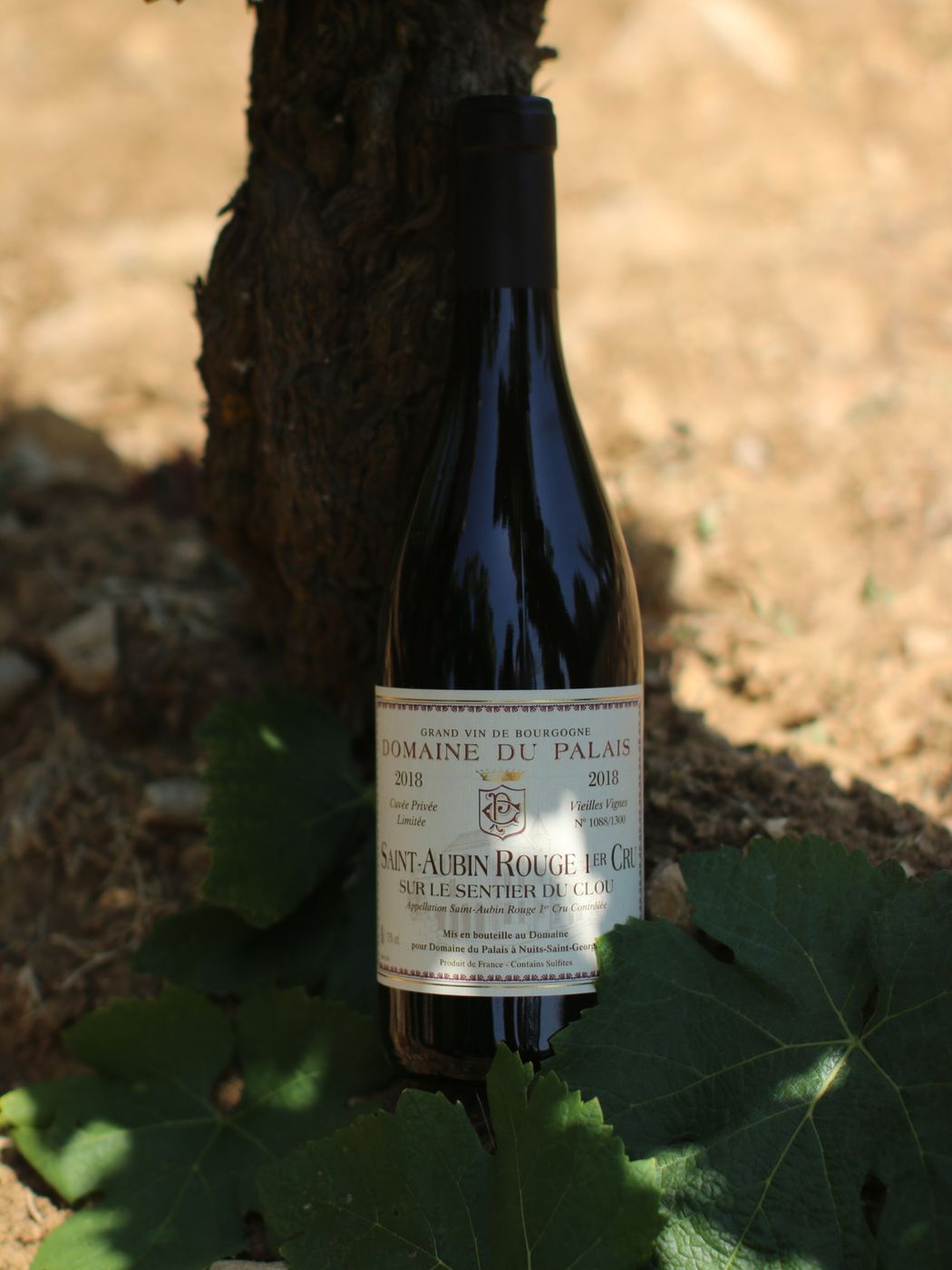 Saint-Aubin Rouge 1er Cru « Sur le Sentier du Clou »