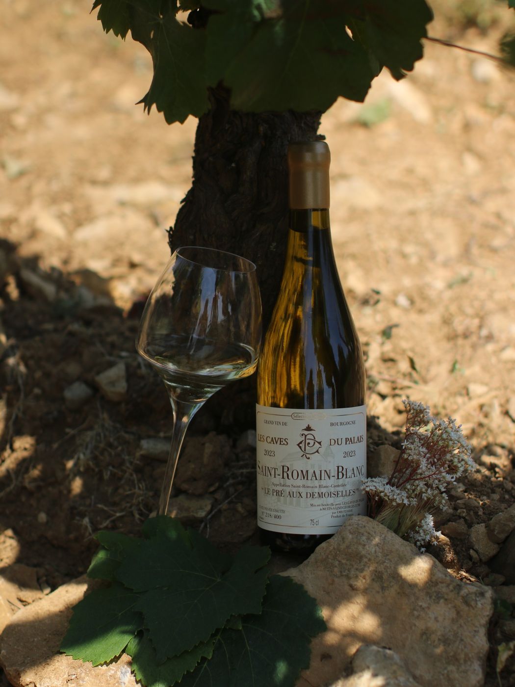 Saint-Romain Blanc « La Petite Parcelle »